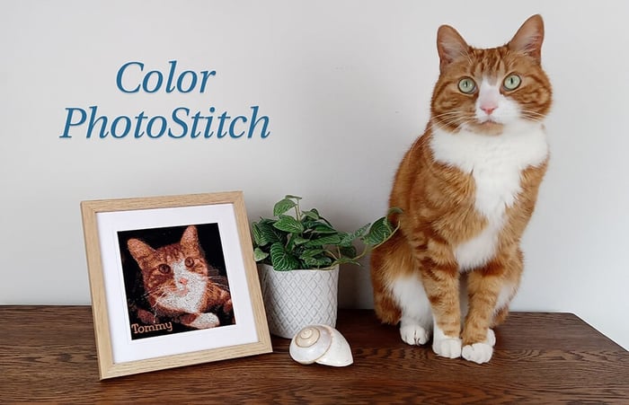 Hatch Embroidery Color PhotoStitch tool