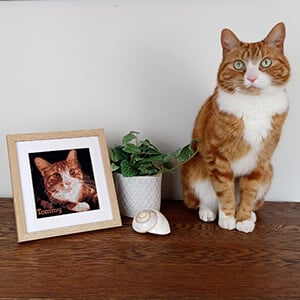 Color PhotoStitch - Cherished Memories to Embroidered Art