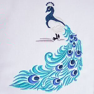 Click to Create Beautiful Designs