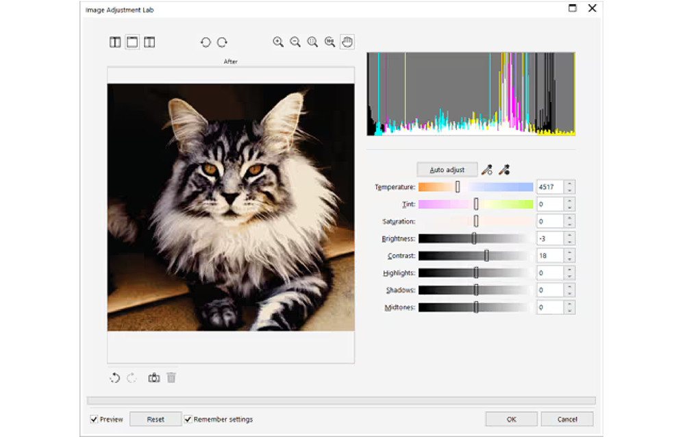 CorelDRAW Standard 2024 GEM