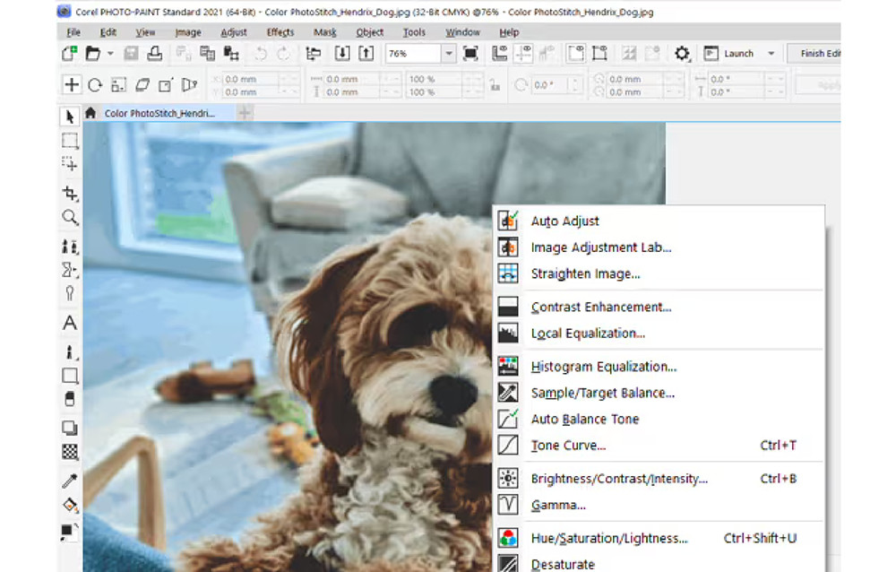 CorelDRAW Standard 2024 GEM