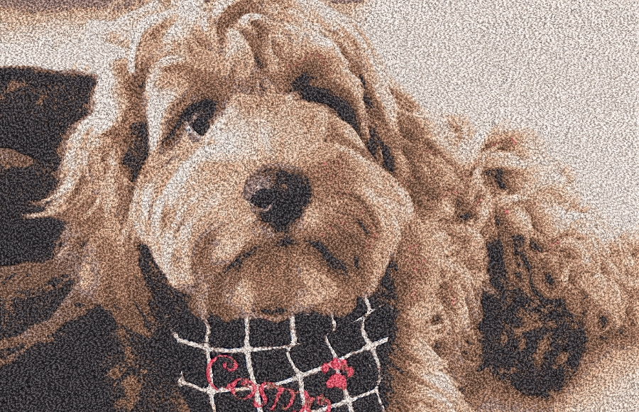 Features-900x580px-8