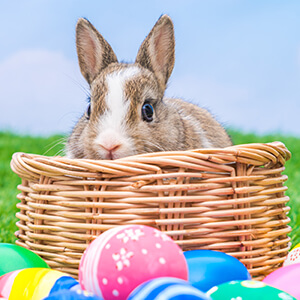 Easter Egg Embroidery Inspirations